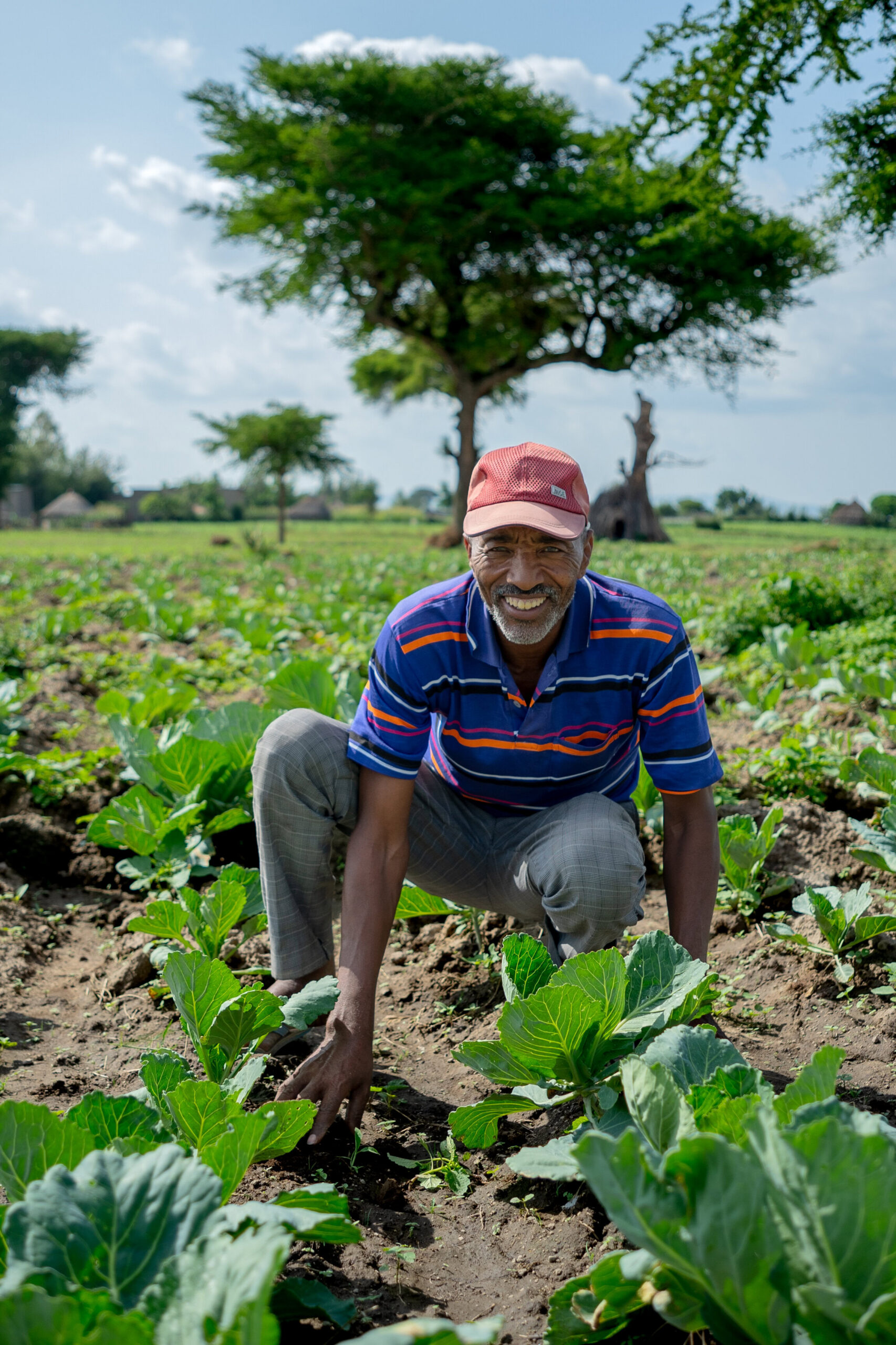 Goneso tussen het groen