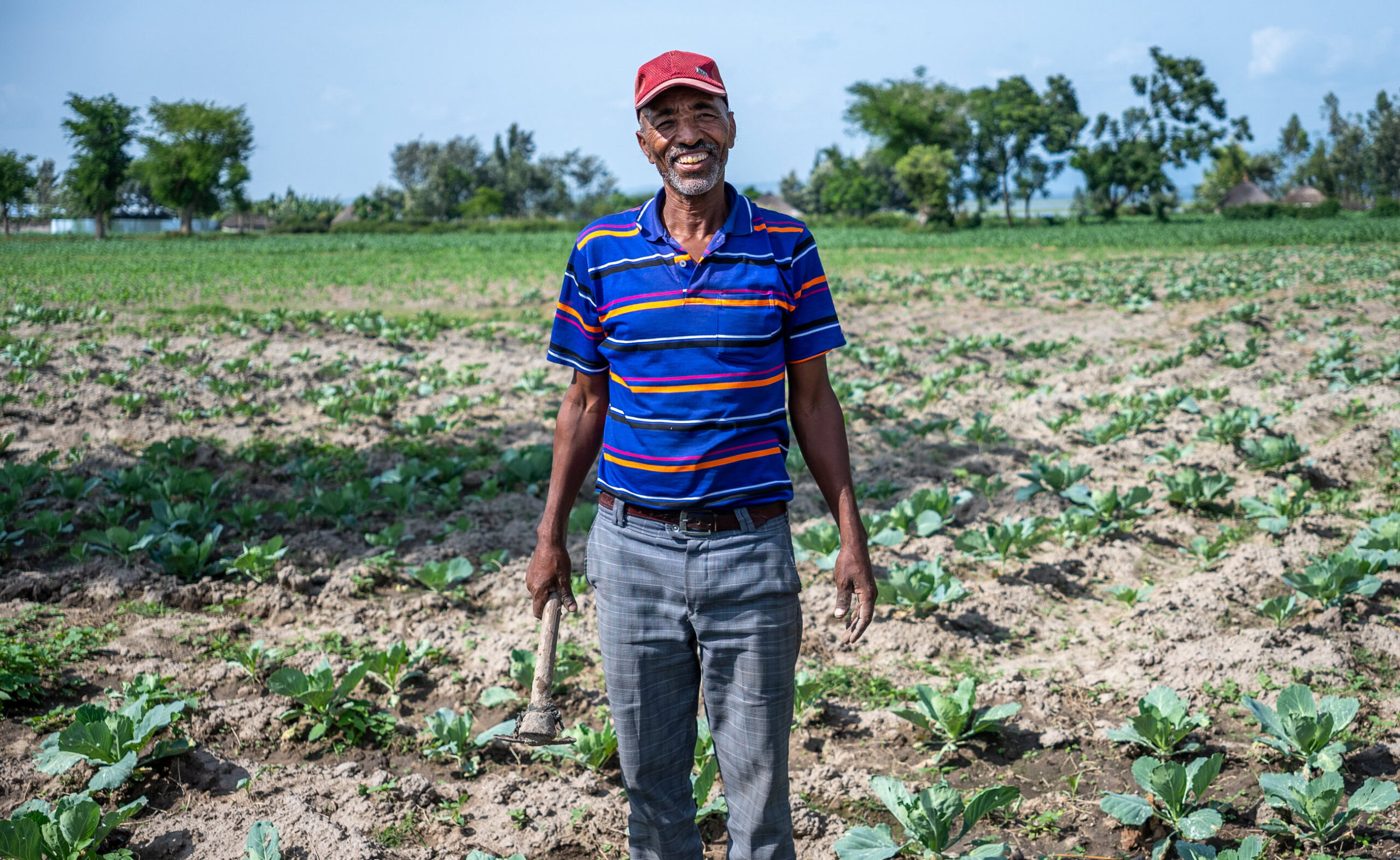 Goneso op zijn akker