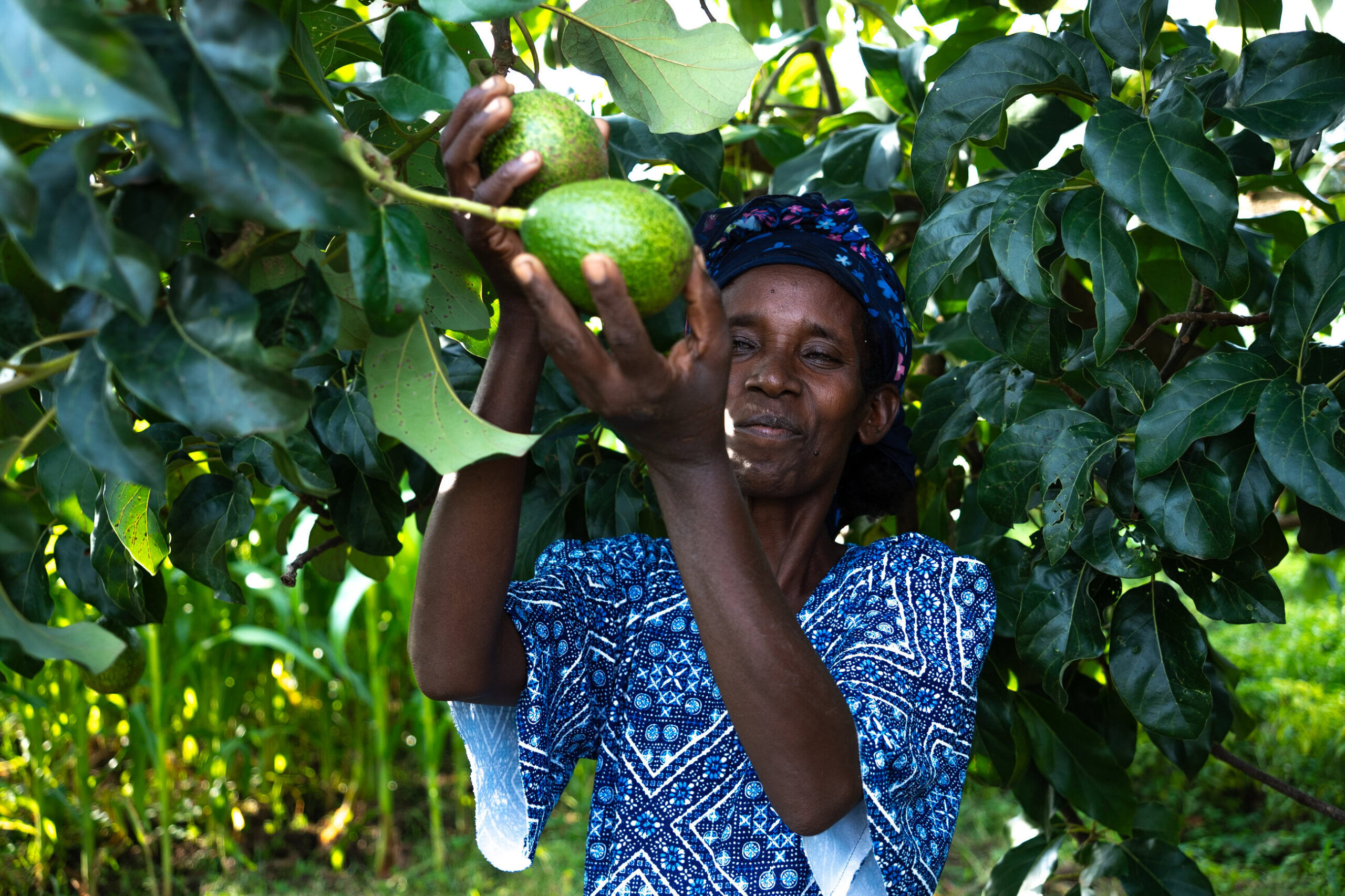 Daintu en haar zelfgegroeide mango's