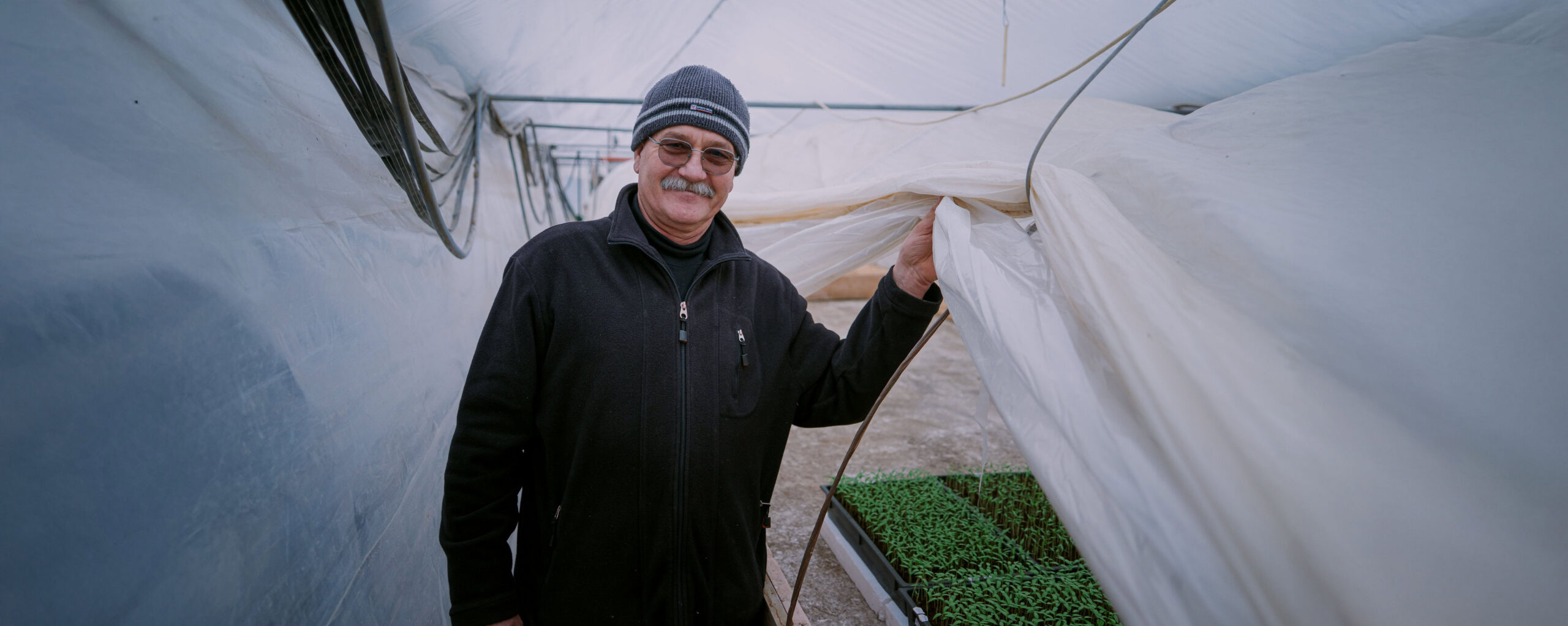 Zachtlopende man in kas met jonge plantjes onder een kasdoek.