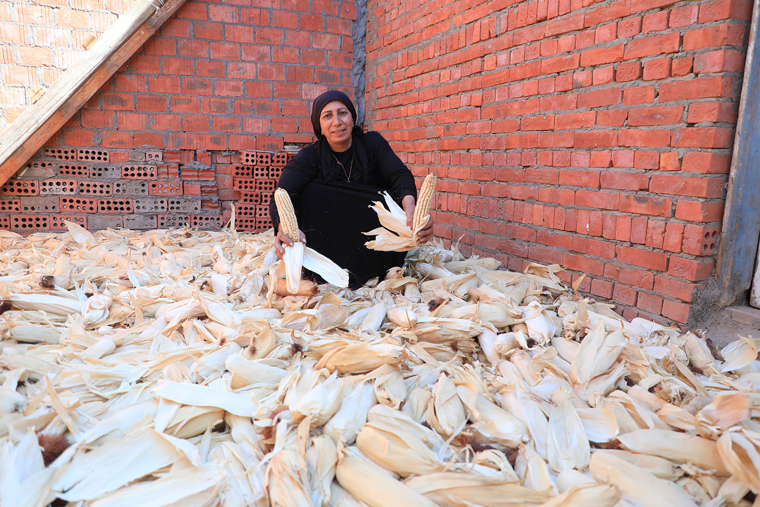 Verslaagde vrouw met oogst van maiskolven en droge maizearakken in een bouwvallige omgeving, betrokken bij sociale projecten door Dorcas.