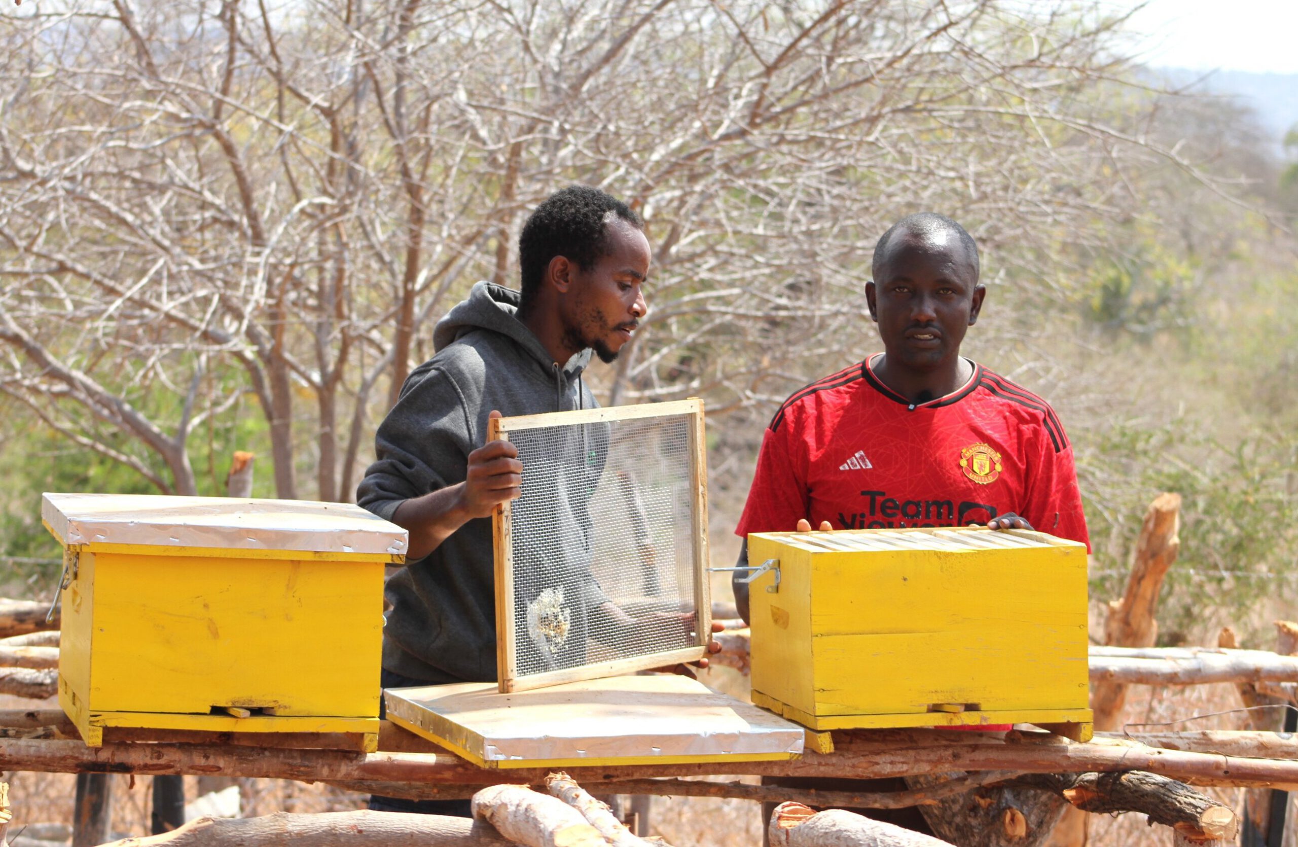 Duurzame imkerij in Afrika in Kenia van Dorcas met mensen die bij bijenkastjes werken.