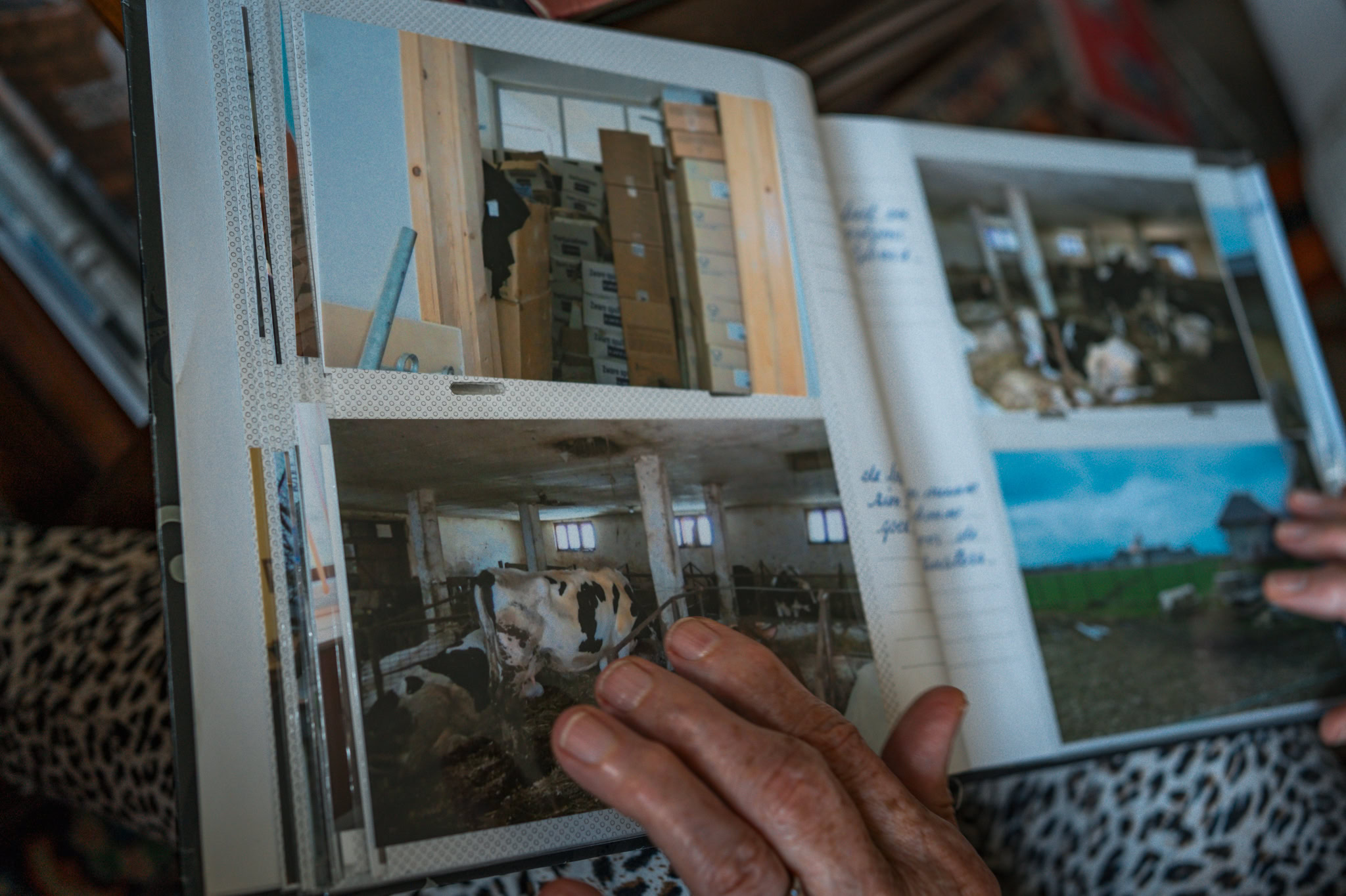 Dameshand die oude foto's en herinneringen in een album bekijkt, met focus op de handen en het nostalgische gevoel.